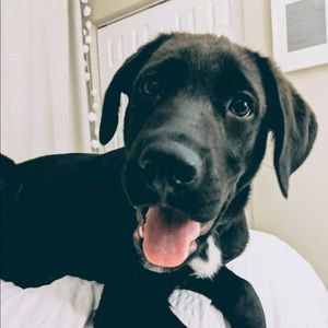 Meet your Posher, Jocelyn